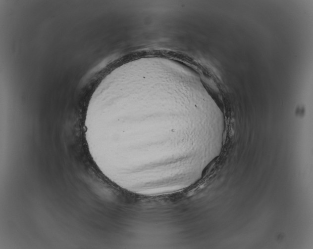 X0000092081159200710101034