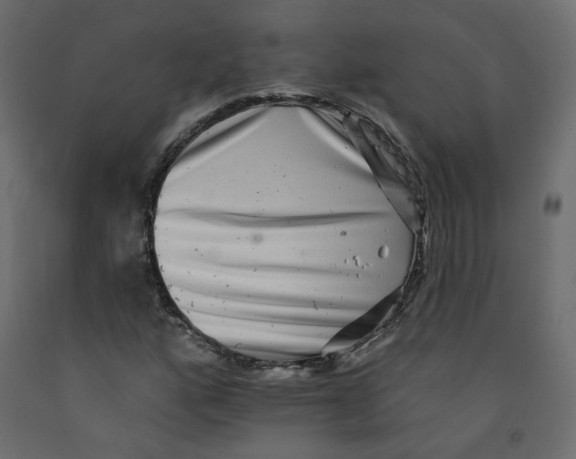 X0000092081160200710101034