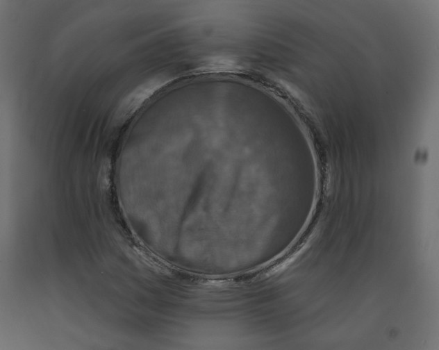 X0000092081161200710101034