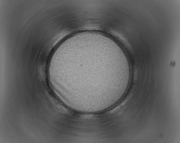 X0000092081162200710101034