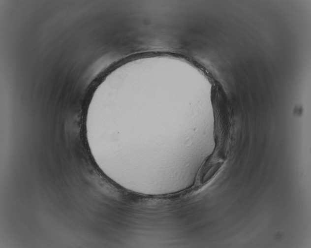 X0000092081163200710101034