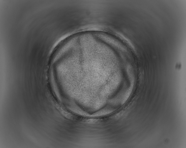 X0000092081166200710101034