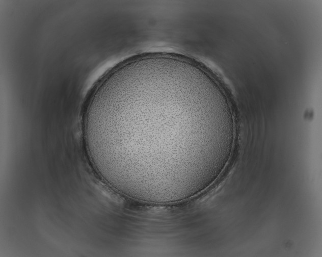 X0000092081167200710101034