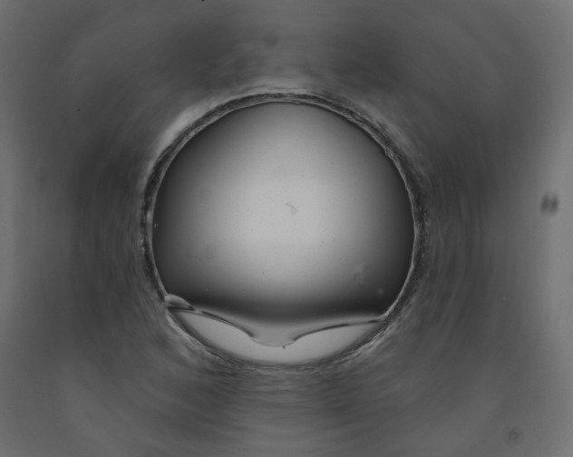 X0000092081168200710101034