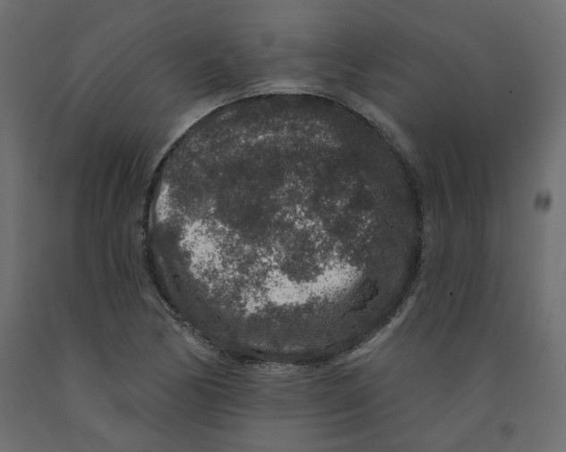 X0000092081170200710101034