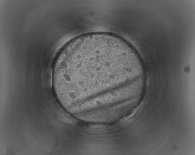 X0000092081171200710101034