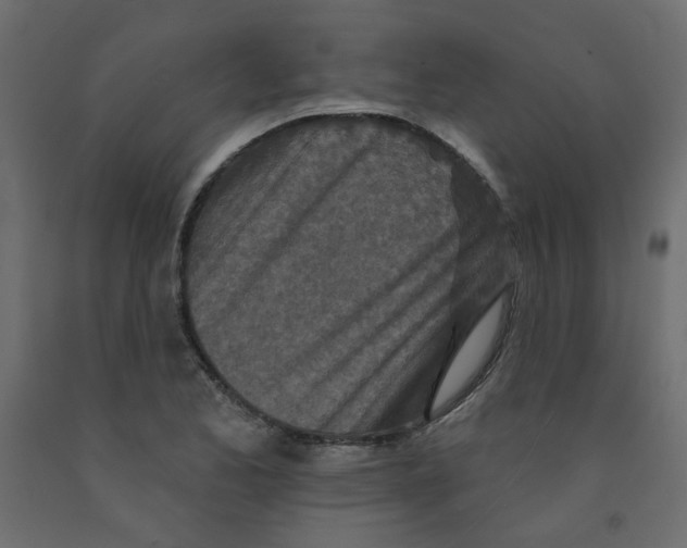 X0000092081173200710101034