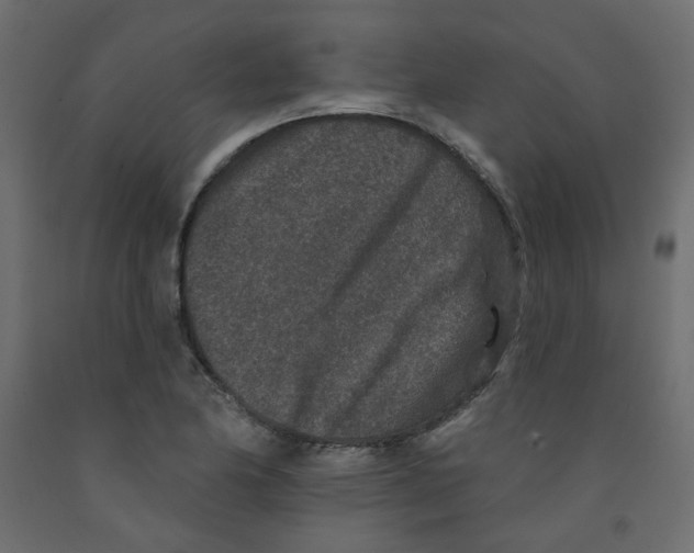 X0000092081174200710101034