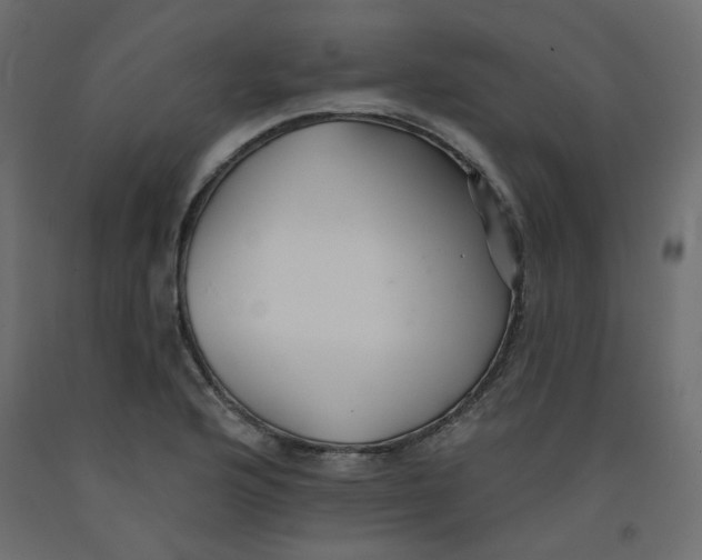 X0000092081176200710101034