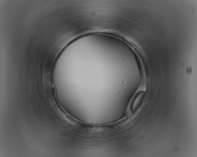 X0000092081177200710101034