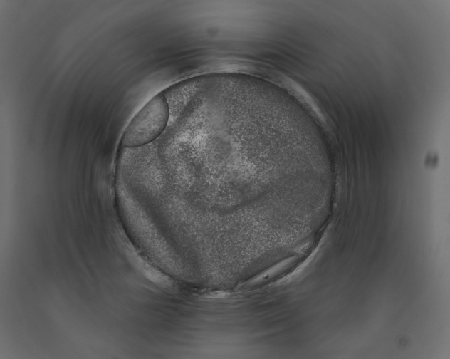 X0000092081178200710101034