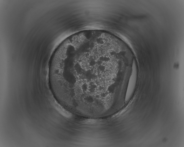 X0000092081179200710101034