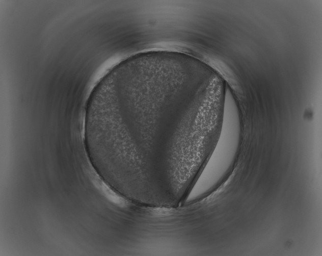 X0000092081180200710101034