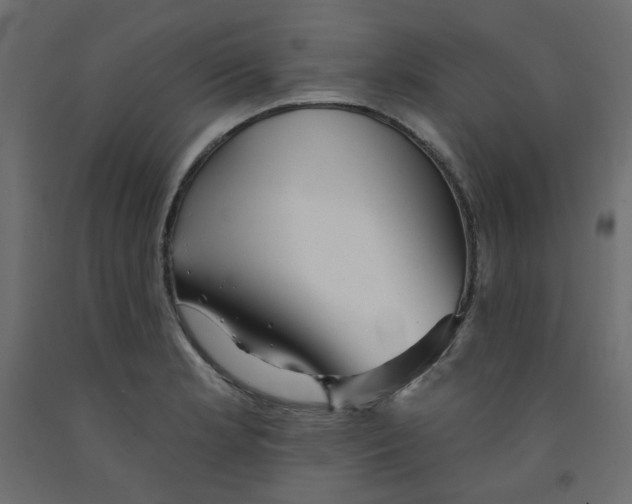 X0000092081181200710101034