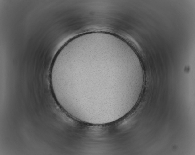 X0000092081182200710101034