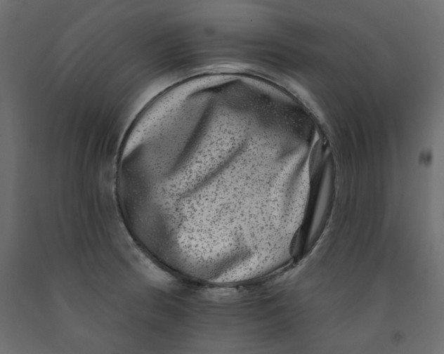 X0000092081186200710101034