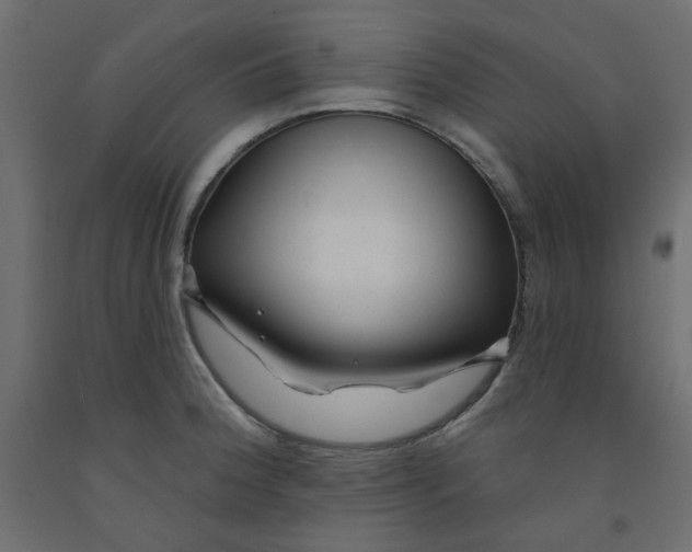 X0000092081188200710101034