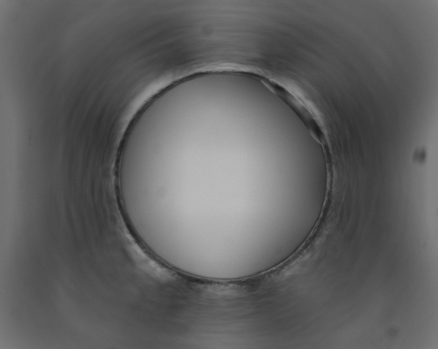 X0000092081189200710101034