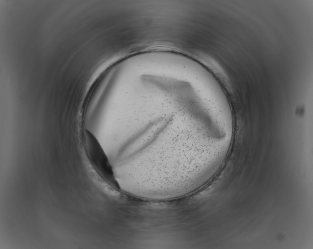 X0000092081190200710101034