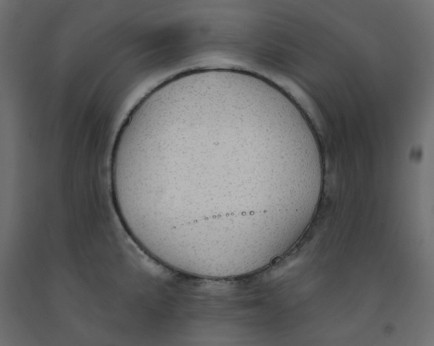 X0000092081191200710101034