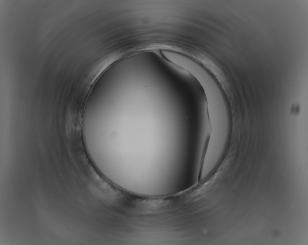 X0000092081193200710101034