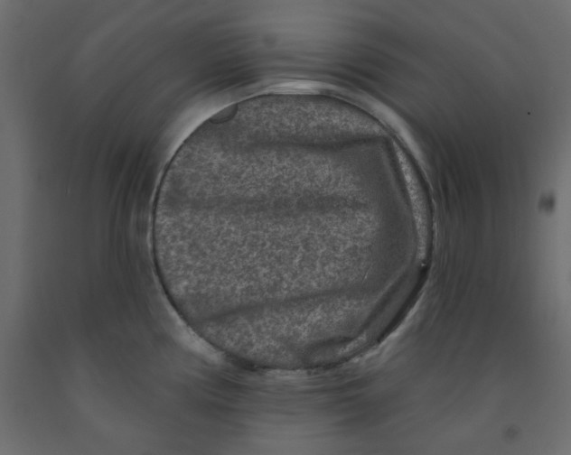 X0000092081194200710101034