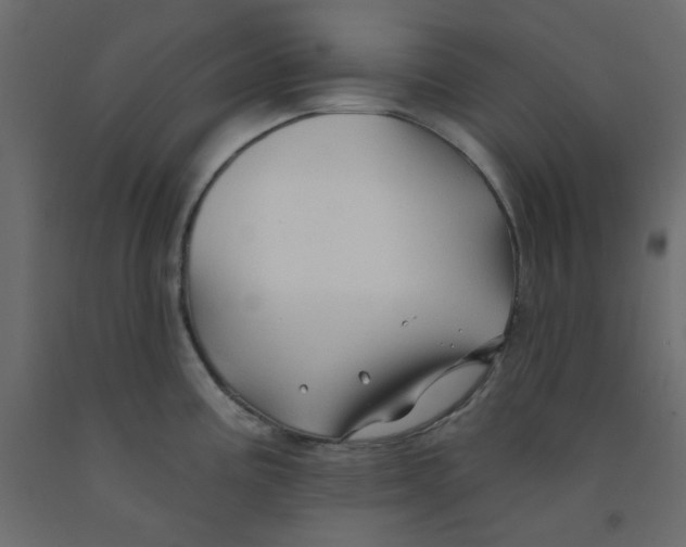 X0000092081195200710101034