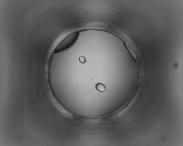 X0000092081196200710101034