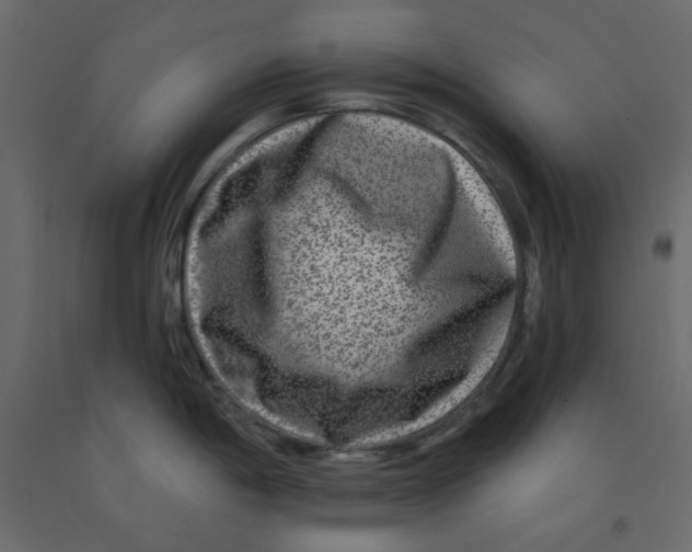 X0000092081198200710101034