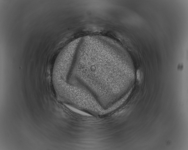 X0000092081203200710101033