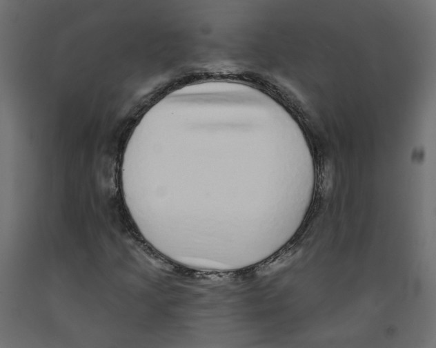 X0000092081205200710101033