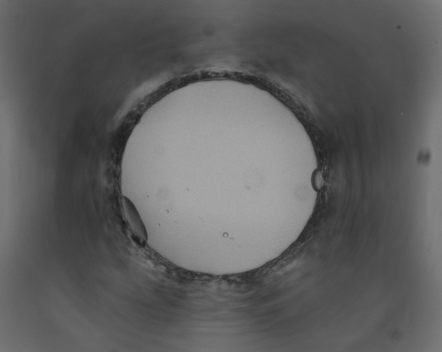 X0000092081207200710101033