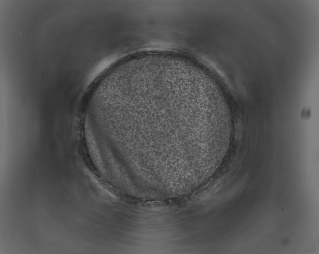 X0000092081208200710101033