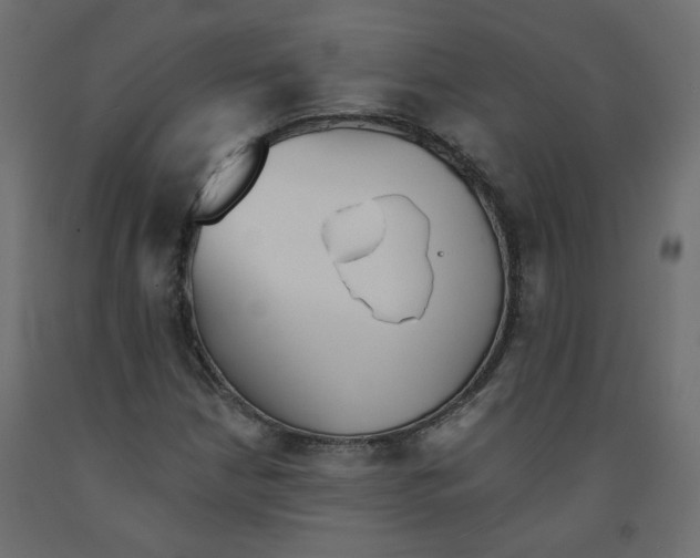 X0000092081210200710101033