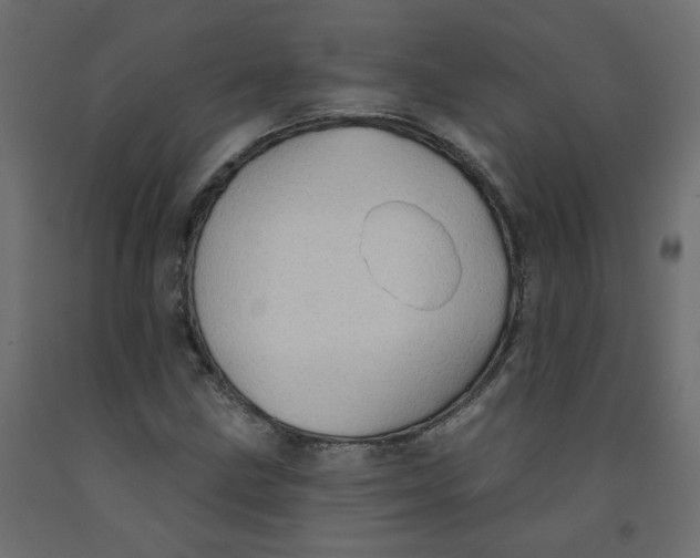 X0000092081211200710101033