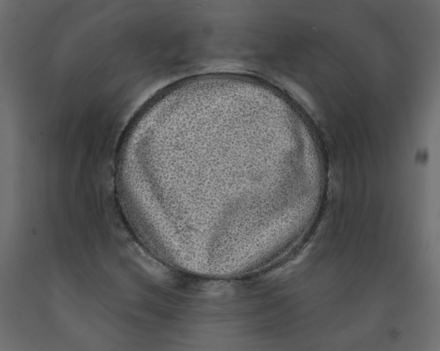 X0000092081212200710101033