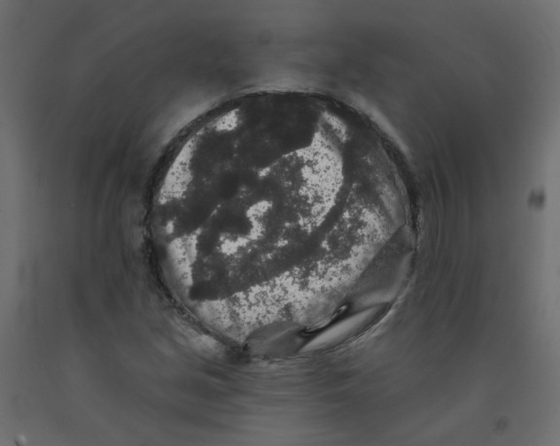 X0000092081213200710101033