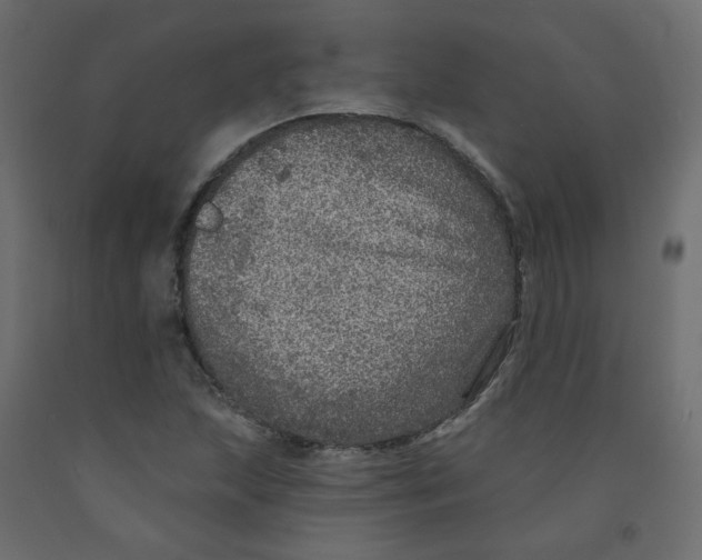 X0000092081215200710101033