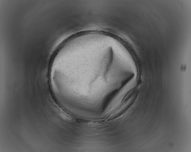 X0000092081216200710101033