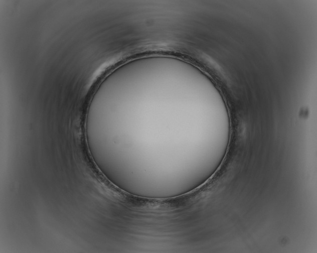 X0000092081218200710101033