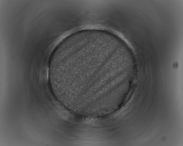 X0000092081221200710101033