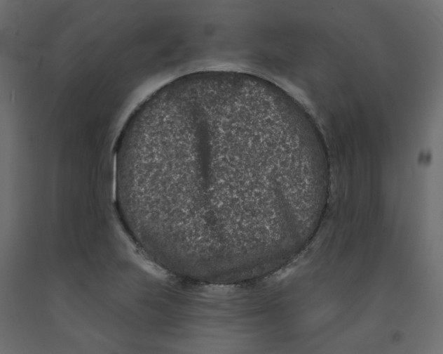 X0000092081223200710101033