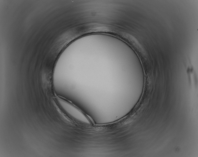 X0000092081225200710101033