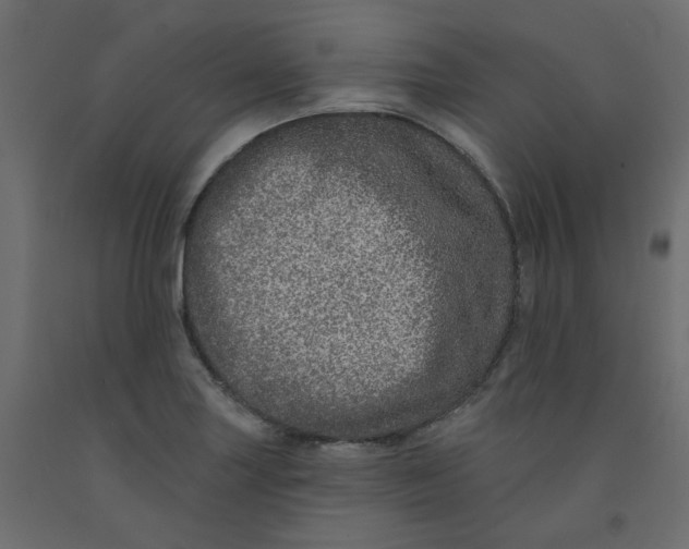 X0000092081227200710101033