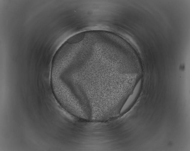 X0000092081228200710101033