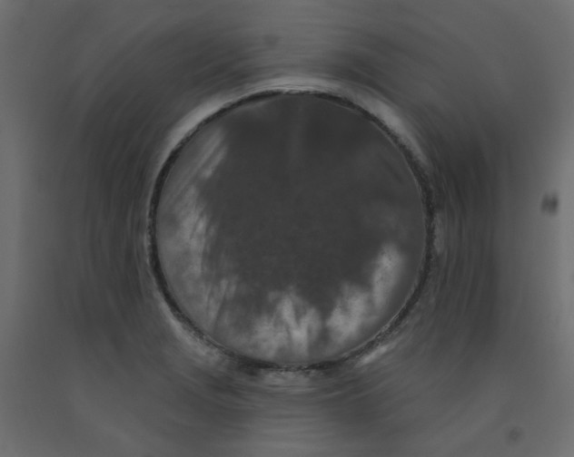 X0000092081229200710101033