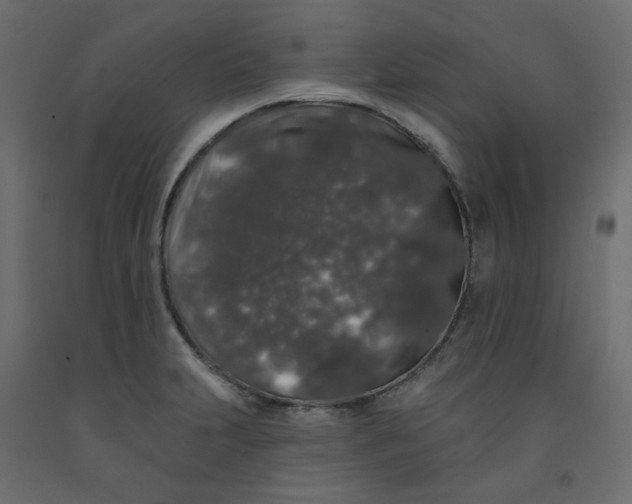 X0000092081231200710101033