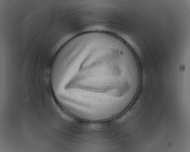 X0000092081233200710101033