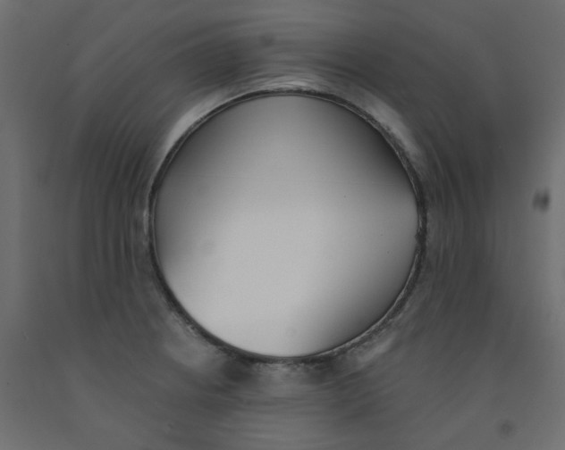 X0000092081234200710101033