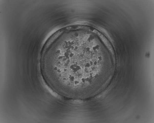 X0000092081235200710101033